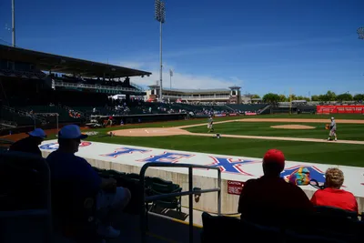 DSC_1693 (Large).JPG